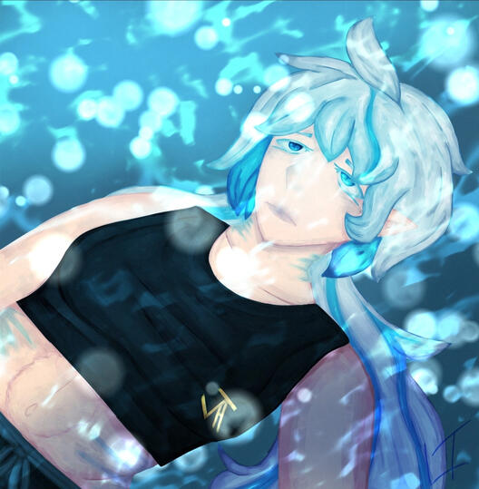 Fullshaded 3/4 : 30 - 40$